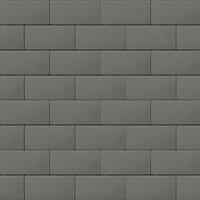  Тротуарная плитка Steinrus Прямоугольник Лайн 200х100х60 мм Серый Бассировка: внешний вид